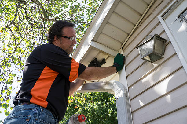 Best Fascia and Soffit Installation  in Raynham Center, MA